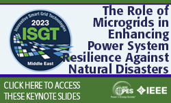 Keynote: The Role of Microgrids in Enhancing Power System Resilience Against Natural Disasters (slides)