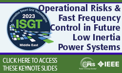 Keynote: Operational Risks and Fast Frequency Control in Future Low-Inertia Power Systems (slides)