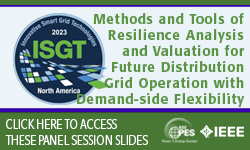 Panel Session: Methods and Tools of Resilience Analysis and Valuation for Future Distribution Grid Operation with Demand-side Flexibility (slides)