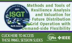 Panel Session: Methods and Tools of Resilience Analysis and Valuation for Future Distribution Grid Operation with Demand-side Flexibility (slides)