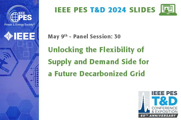 Unlocking the Flexibility of Supply and Demand Side for a Future Decarbonized Grid