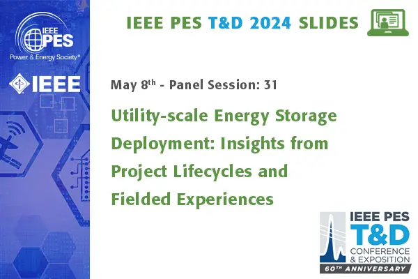 Utility-scale Energy Storage Deployment: Insights from Project Lifecycles and Fielded Experiences