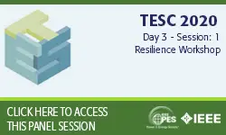 TESC ''20: Day 3, Session 1: Resilience Workshop (slides)