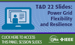 T&D 2022 panel session: Power Grid Flexibility and Resilience
