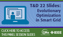 T&D 2022 panel session: Evolutionary Optimization in Smart Grid