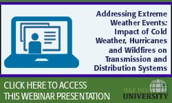 Addressing Extreme Weather Events:Impact of Cold Weather, Hurricanes and Wildfires on Transmission and Distribution Systems (Slides)