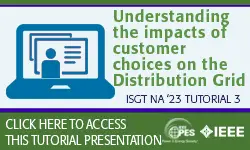 ISGT NA 23 Tutorial: Understanding the impacts of customer choices on the Distribution Grid (Slides)