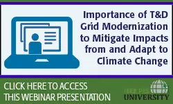 Importance of T&D Grid Modernization to Mitigate Impacts from and Adapt to Climate Change (Slides)
