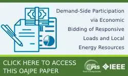 Demand-Side Participation via Economic Bidding of Responsive Loads and Local Energy Resources