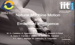 Natural Machine Motion and Embodied Intelligence