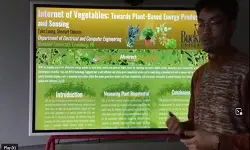 Internet of Vegetables: Towards Plant Based Energy Production and Sensing