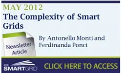 The Complexity of Smart Grids