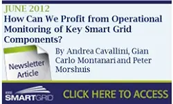 How Can We Profit from Operational Monitoring of Key Smart Grid Components?