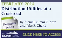 Distribution Utilities at a Crossroad