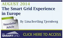 The Smart Grid Experience in Europe