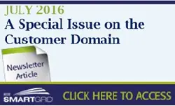A Special Issue on the Customer Domain