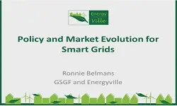 Policy Market Evolution for Smart Grids: Ronnie Belmans