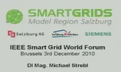 IEEE Smart Grid World Forum - Michael Strebl