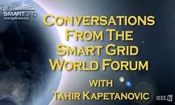 Smart Grid as a Service Provider: Tahir Kapentanovic