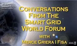 Energy Efficiency and the European Smart Grid: Merce Griera I Fisa
