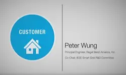 Customer Domain - Peter Wung