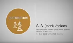 Distribution Domain - S.S. (Mani) Venkata