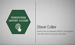 Foundational Support Systems Domain - Steven Collier