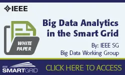 Big Data Analytics in the Smart Grid