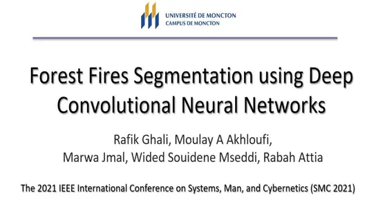 Forest Fires Segmentation Using Deep Convolutional Neural Networks