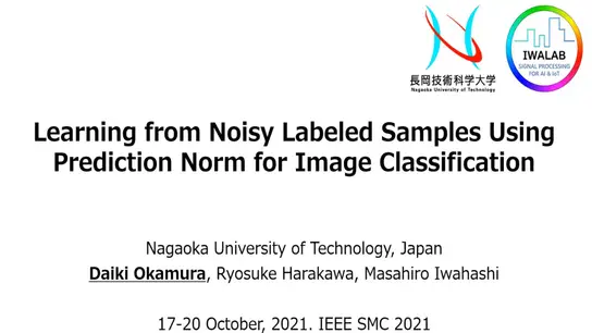 Learning from Noisy Labeled Samples Using Prediction Norm for Image Classification