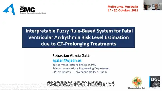 Interpretable Fuzzy Rule Based System for Fatal Ventricular Arrhythmia Risk Level Estimation Due to QT Prolonging Treatments 