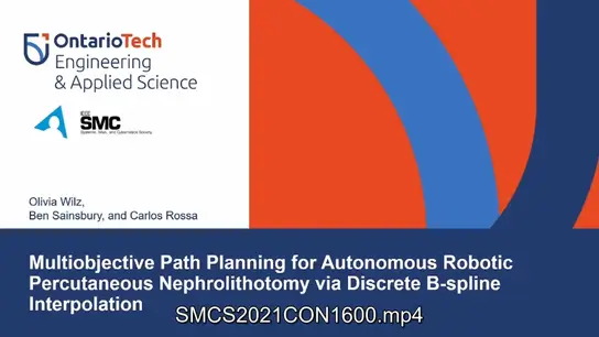 Multiobjective Path Planning for Autonomous Robotic Percutaneous Nephrolithotomy via Discrete B-spline Interpolation