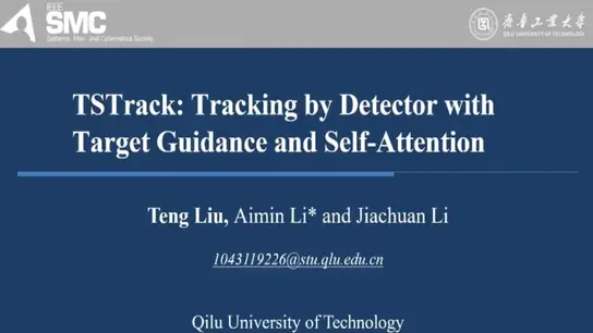 TSTrack: Tracking by Detector With Target Guidance and Self-Attention