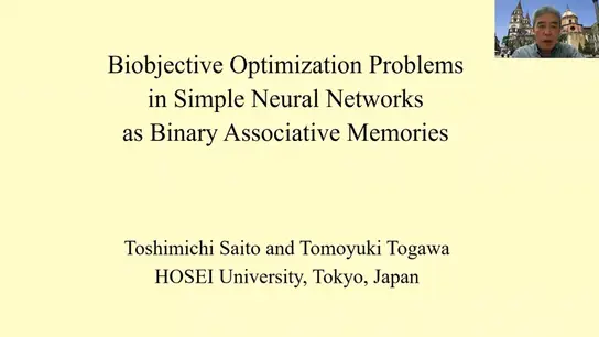 Biobjective Optimization Problems in Simple Neural Networks as Binary Associative Memories