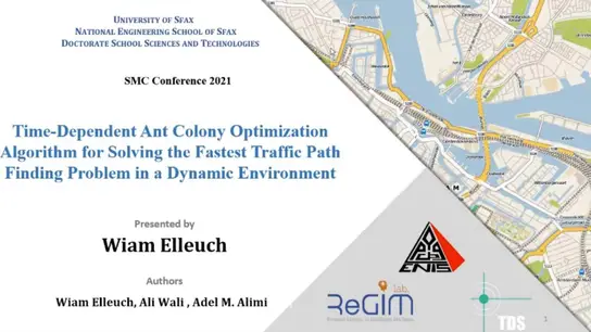 Time-Dependent Any Colony Optimization Algorithm for Solving the Fastest Traffic Path Finding Problem in a Dynamic Environmen