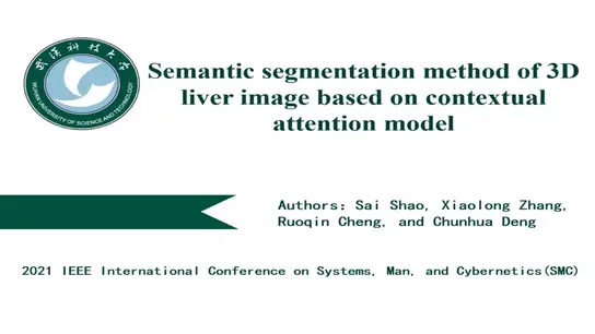 Semantic Segmentation Method of 3D Liver Image Based on Contextual Attention Model