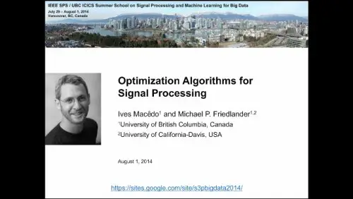 Optimization Algorithms for Signal Processing