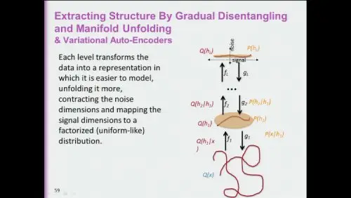 Extracting Structure By Gradual Disentangling and Manifold Unfolding & Variational Auto-Encoders