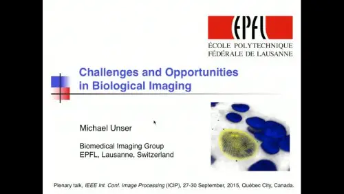 Challenges and Opportunities in Biological Imaging