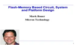 Flash Memory Based Circuit